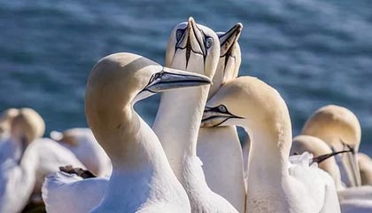 爱游戏品牌互动-法国公开赛落幕，冠军选手表现惊艳，法国公开赛落幕,冠军选手表现惊艳吗